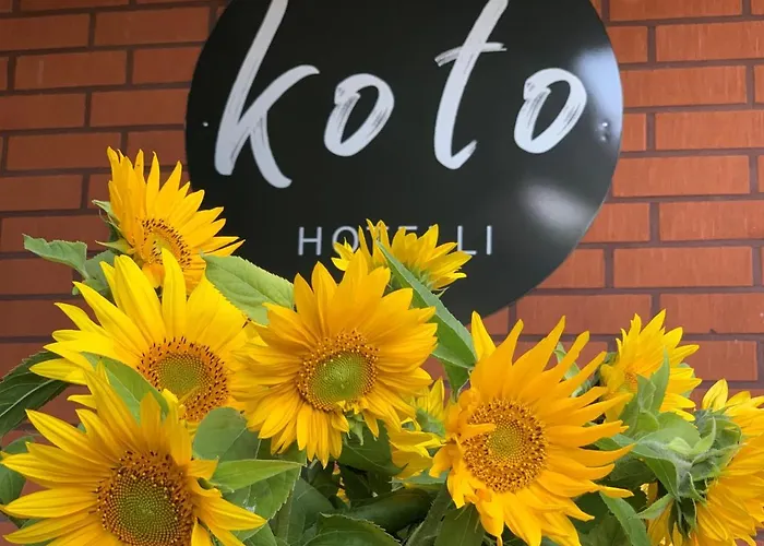 Koto