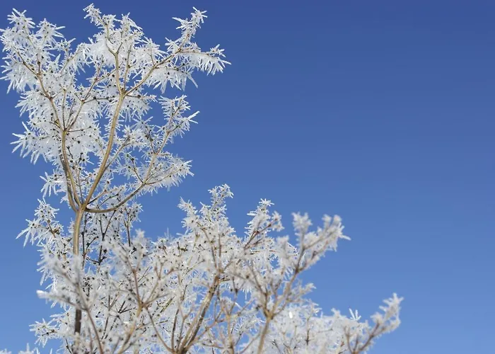 Koto Hotel Pihtipudas